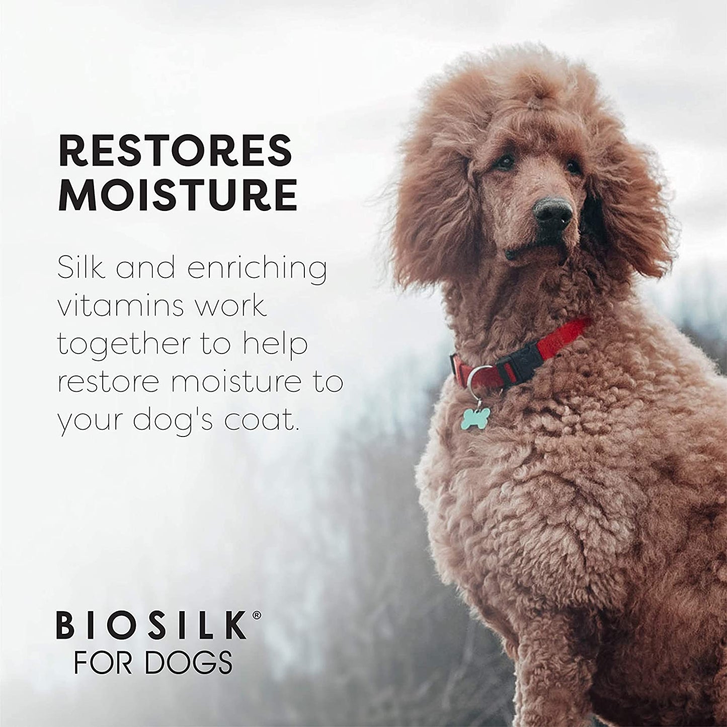 for Dogs Silk Therapy Conditioner with Natural Coconut Oil | Coconut Oil Dog Conditioner from for Dogs | Pet Conditioner for Dogs, 12 Ounces,Beige