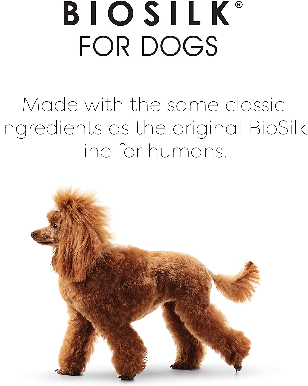 for Dogs Silk Therapy Conditioner with Natural Coconut Oil | Coconut Oil Dog Conditioner from for Dogs | Pet Conditioner for Dogs, 12 Ounces,Beige