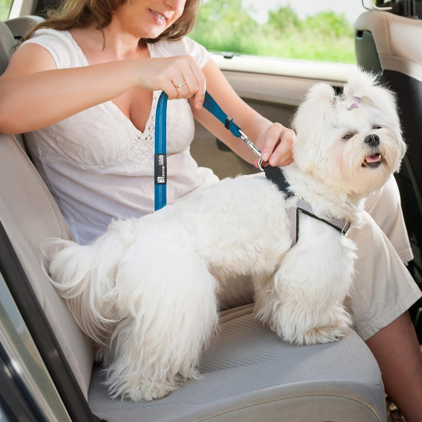 Adjustible Car Harness | Seat Belt for Pets with Elastic Bungee Buffer | Essential Travel Accessories | Dog Leash Safety Restraint | Elastic (Blue)