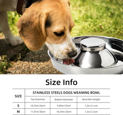 Stainless Steel Puppy Bowls, Set of 2 Puppy Feeder, Dog Food and Water Bowl, Food Feeding Weaning for Small Medium Large Dogs, Pets, M