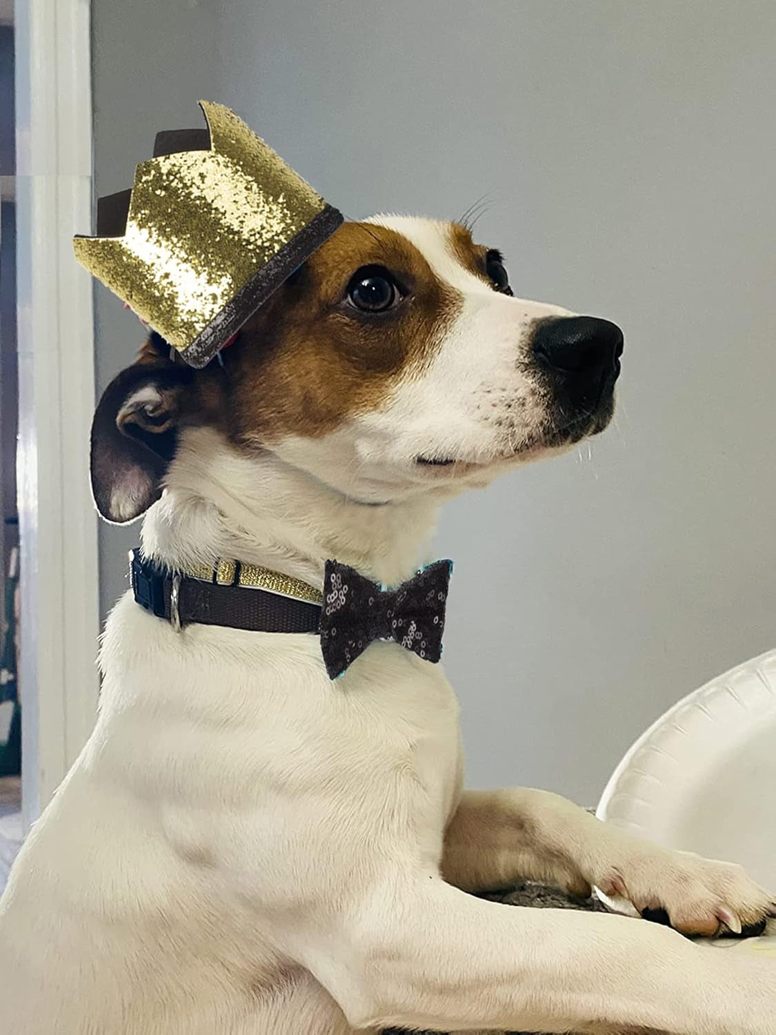 Wedding Dog Hat and Dog Bow Tie Set, Cute Wedding Dog Crown Hat and Dog Bowtie Collar for Dog Party Supplies (Black)