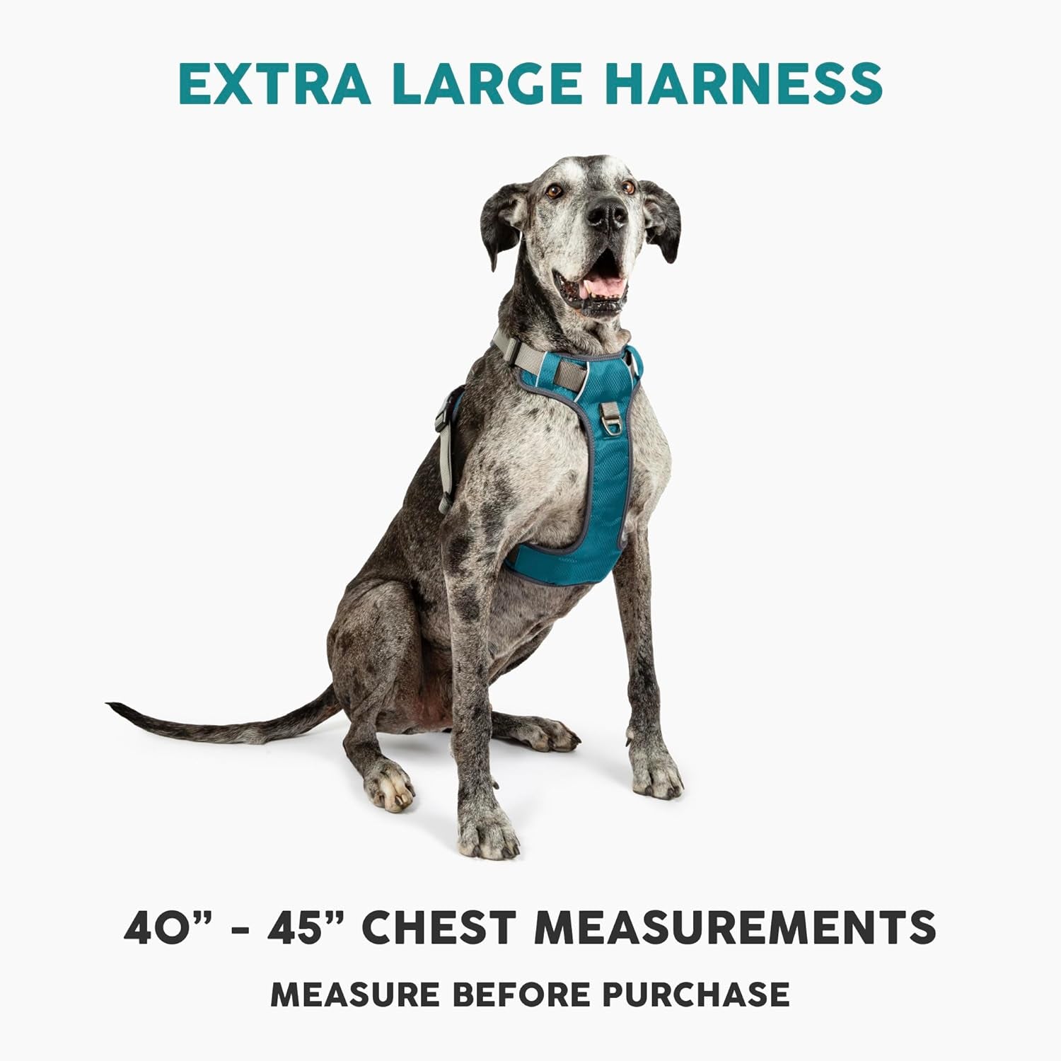 Embark Adventure Dog Harness, Reflective Trim XL Dog Harness for Extra Large Dogs No Pull - Military Grade Nylon, 2 Leash Clips & Gel Lined Handle. Soft & Padded Puppy